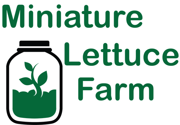 Miniature Lettuce Farm