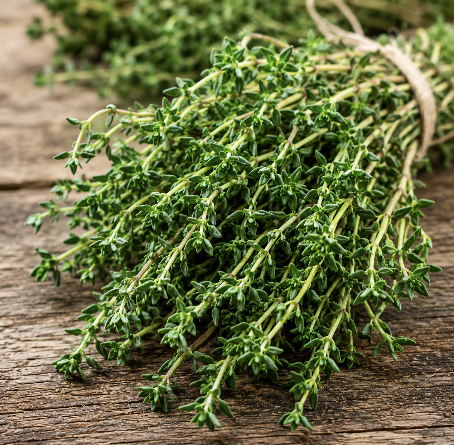 Thyme