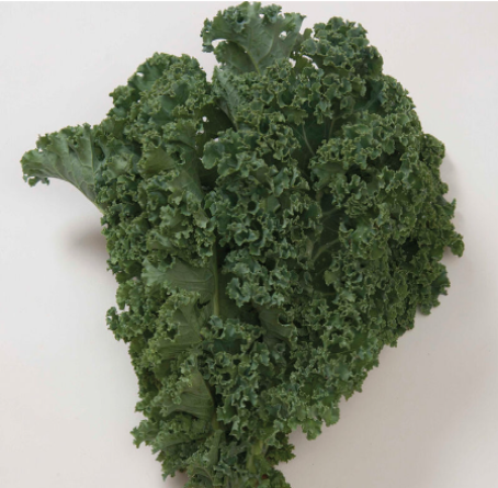 Winterbor Kale